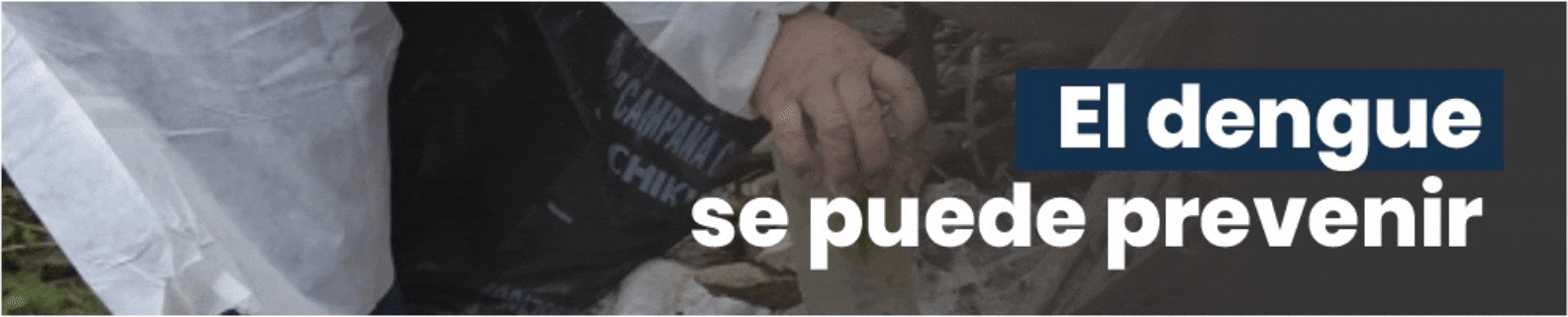 Banner